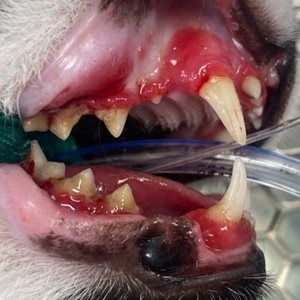 Radiographie de thorax en décubitus latéral droit