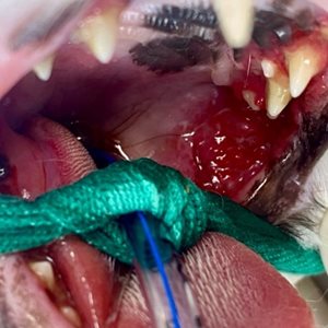 Radiographie de thorax en décubitus latéral droit